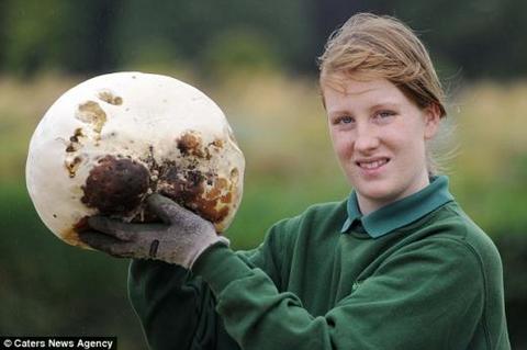 20110813 giant puffball.jpg